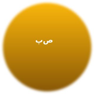 پویا صادقی