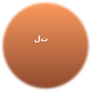 لیلا تبریزی