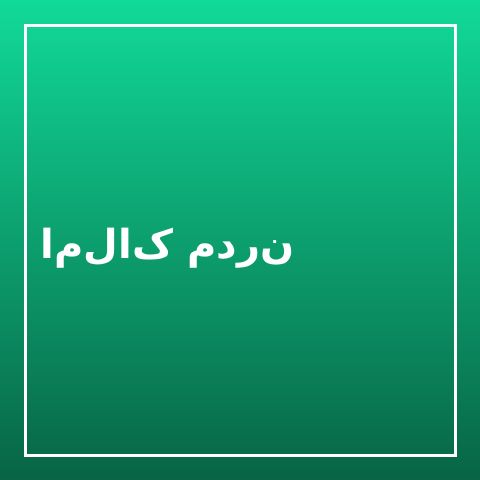 املاک مدرن